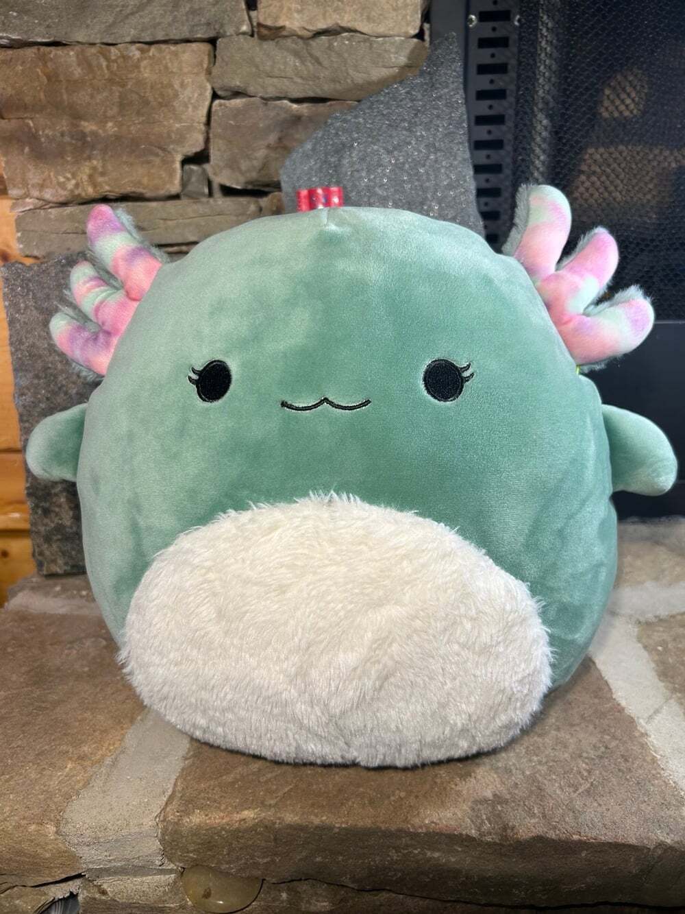 Squishmallow 11” soft green Chasmen the Axolotl 2022 READ !!